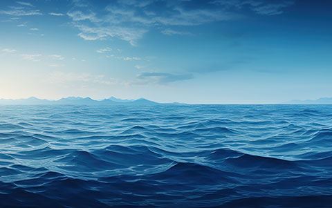 Uzmanlık Alanlarımız